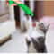 Catnip Toothbrush Chew Toy For Kitten Dental Cleaning And Interactive Play 6