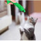 Catnip Toothbrush Chew Toy For Kitten Dental Cleaning And Interactive Play 6