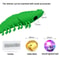 Catnip Toothbrush Chew Toy For Kitten Dental Cleaning And Interactive Play 7