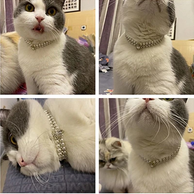Luxury Pearl Cat Collar Rhinestone Pet Necklace For Cats Puppies And Small Dogs 5