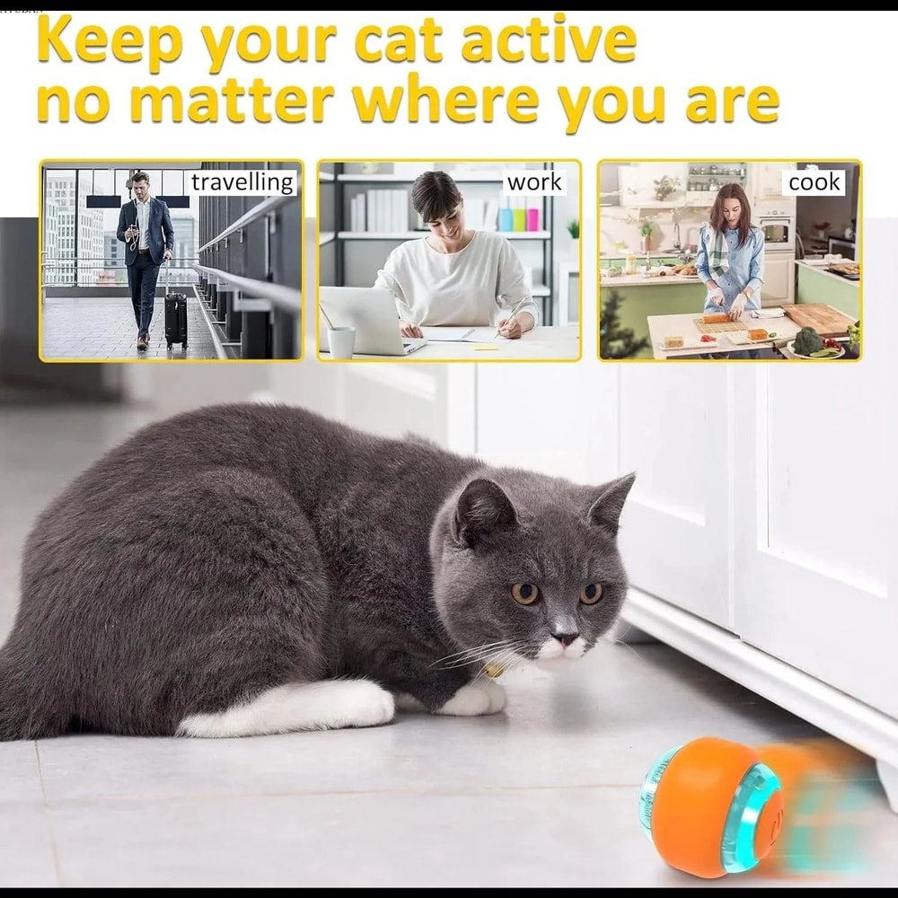Automatic Cat Toy Rechargeable Rolling Ball For Interactive Exercise And Indoor Pet Play 2