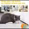 Automatic Cat Toy Rechargeable Rolling Ball For Interactive Exercise And Indoor Pet Play 2