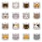 Personalized Cat Tag Stainless Steel Engraved Pet ID Pendant For Kittens And Cats 20