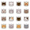 Personalized Cat Tag Stainless Steel Engraved Pet ID Pendant For Kittens And Cats 20
