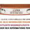 Personalized Reflective Cat Collar Engraved Adjustable Safety Buckle With Bell For Kittens 7