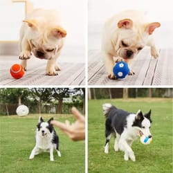 natural latex squeaky dog ball sports toy for fetch, training, and dental chewing