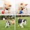 Natural Latex Squeaky Dog Ball Sports Toy For Fetch Training And Dental Chewing 0