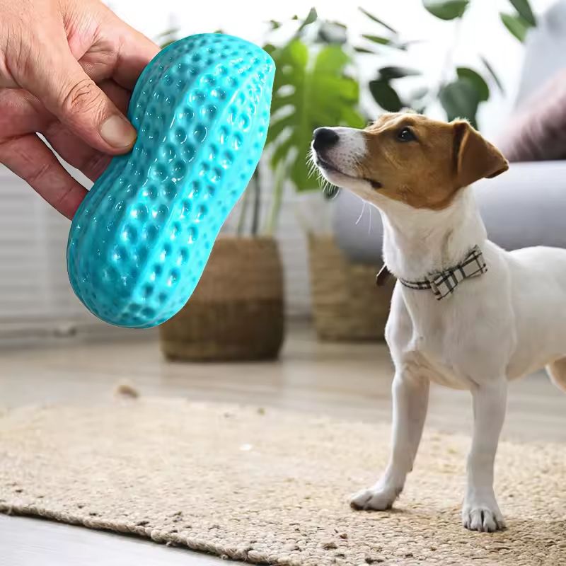 PeanutShape Rubber Squeaky Dog Toy For Chewing Teeth Cleaning 2
