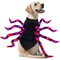 LightUp Dog Spider Costume With Purple LEDs For Large Dogs 2