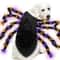 LightUp Dog Spider Costume With Purple LEDs For Large Dogs 4