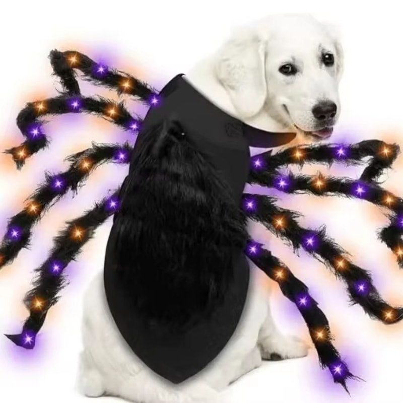 LightUp Dog Spider Costume With Purple LEDs For Large Dogs 4