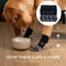 Non Slip Dog Socks With Straps For Hardwood Floors And Outdoor Paw Protection 3