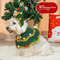Christmas Dog Costume Cloak Hat Set Dog Santa Cloak For Holiday Photos 2