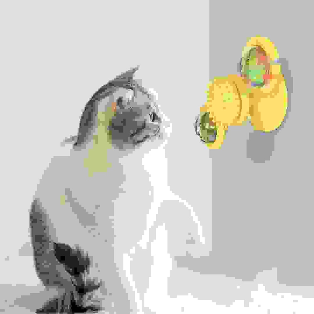 Windmill Interactive Cat Toy With Suction Cup Catnip Ball Toy ToothCleaning Brush 4