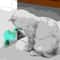 Windmill Interactive Cat Toy With Suction Cup Catnip Ball Toy ToothCleaning Brush 5