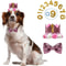 Reusable Pet Birthday Crown Bow Tie Set Adjustable Dog Birthday Hat For SmallMedium Pets 2