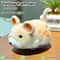 Electric Hamster Interactive Cat Toy SelfPlay Moving Teaser For Indoor Cats 6