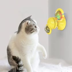 windmill interactive cat toy with suction cup, catnip ball toy & tooth-cleaning brush