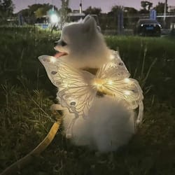 glow butterfly wings harness costume for small dogs & cats (adjustable, glow dots)