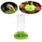 Lotus Leaf Reptile Water Dispenser With Lizard Water Bottle And Feeding Dish 2