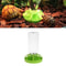 Lotus Leaf Reptile Water Dispenser With Lizard Water Bottle And Feeding Dish 1
