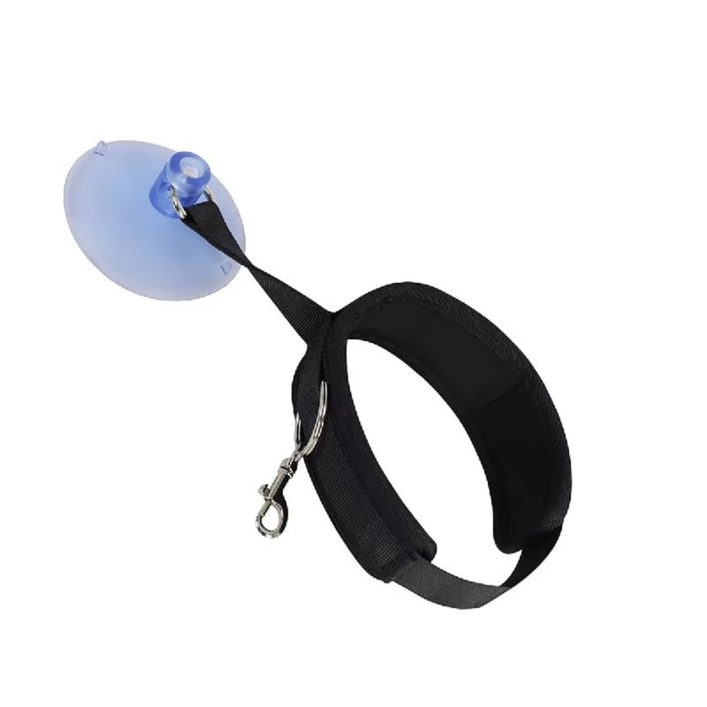 Suction Cup Pet Bathing Tether With Adjustable Collar For Easier Grooming 4