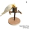 Solid Wood Parrot Training Stand Tabletop Bird Perch Playground 4