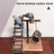 Solid Wood Parrot Training Stand Tabletop Bird Perch Playground 1