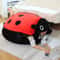Wearable Ladybug Shell Plush Pillow 3