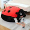 Wearable Ladybug Shell Plush Pillow 3