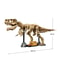 TRex Fossil Dinosaur Building Set Creative Tyrannosaurus Rex Construction Toy For Kids 4
