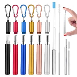 collapsible stainless steel straw set – reusable telescopic travel drinking straw with case