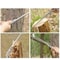 SK5 Steel Hand Saw With Wooden Handle 340mm Woodworking Saw For Garden Panel Cutting 5
