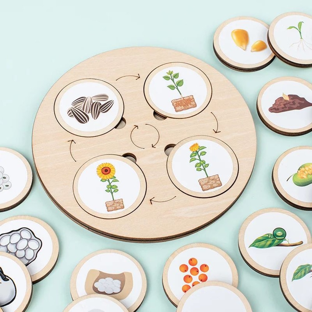 Montessori Life Cycle Board Kit Wooden Montessori Learning Toy For Biology Sensory Play 1