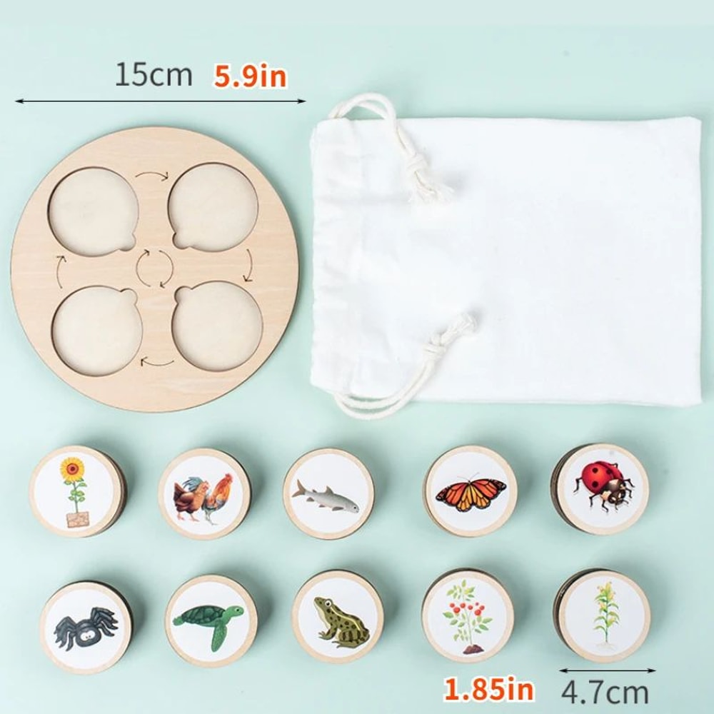 Montessori Life Cycle Board Kit Wooden Montessori Learning Toy For Biology Sensory Play 2