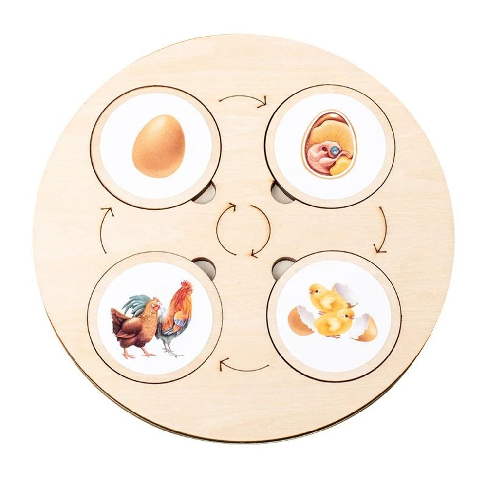 Montessori Life Cycle Board Kit Wooden Montessori Learning Toy For Biology Sensory Play 5