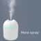 PureGlow Mini Air Humidifier USB Aroma Essential Oil Diffuser With LED Color Light 3