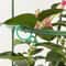 Reusable Garden Plant Clips Vine Ties Adjustable Support Hooks For Tomatoes And Vines 0