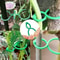 Reusable Garden Plant Clips Vine Ties Adjustable Support Hooks For Tomatoes And Vines 1