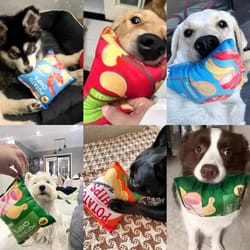 funny crisps plush dog toys – 2-pack squeaky chew toys for small & medium dogs