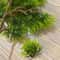 Artificial Pine Branches Decor Set 5Piece Faux Pine Needle Bonsai For Home Office 4