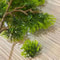 Artificial Pine Branches Decor Set 5Piece Faux Pine Needle Bonsai For Home Office 4
