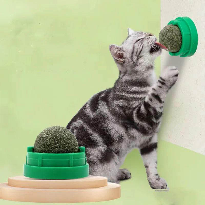 WallMounted Catnip Ball Toy Natural Cat Grass Treat SelfGrooming Scratcher 0
