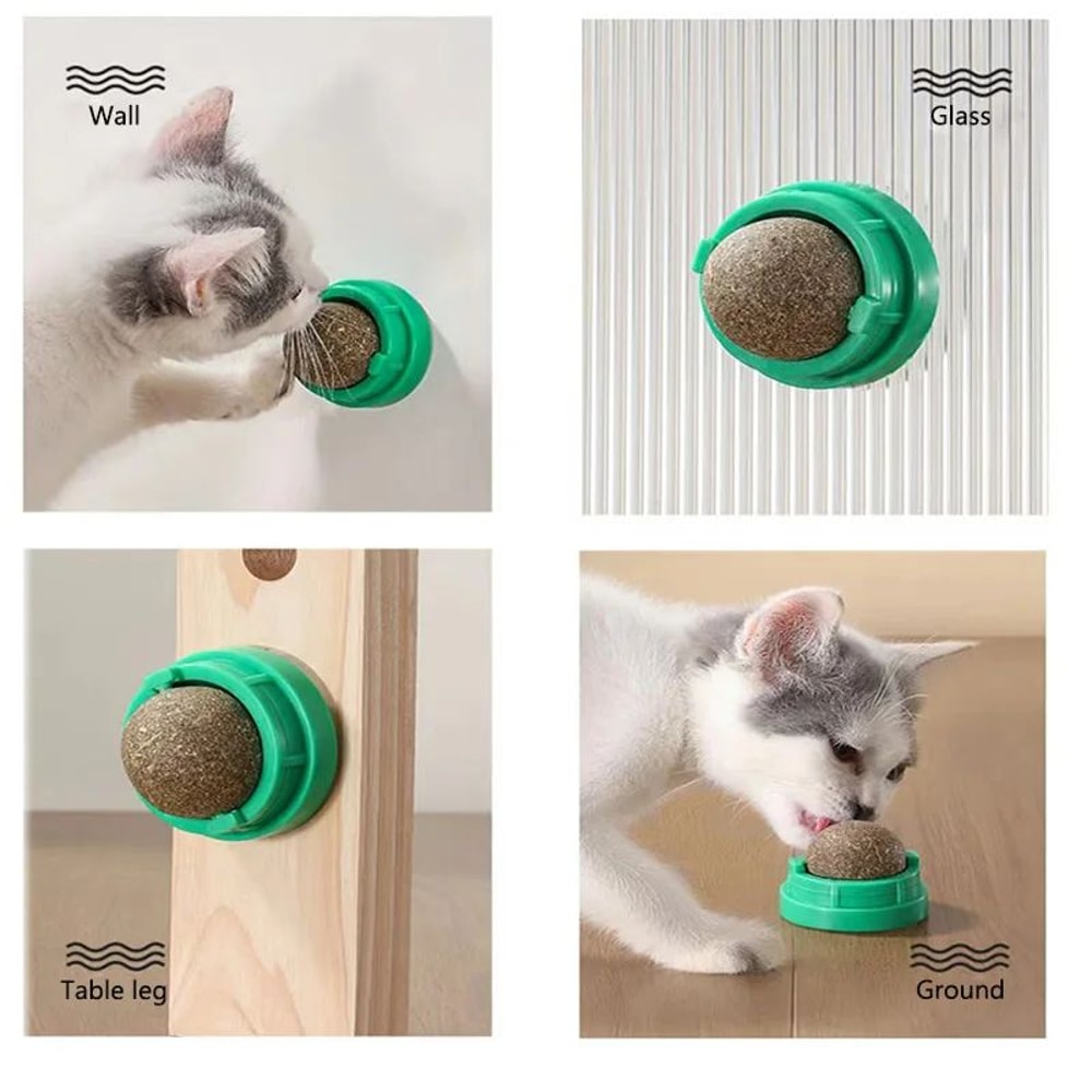 WallMounted Catnip Ball Toy Natural Cat Grass Treat SelfGrooming Scratcher 1