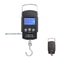 110lb Digital Fishing Hanging Scale With Backlit LCD And Measuring Tape Portable Electronic Fish W 0