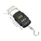 110lb Digital Fishing Hanging Scale With Backlit LCD And Measuring Tape Portable Electronic Fish W 2