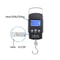 110lb Digital Fishing Hanging Scale With Backlit LCD And Measuring Tape Portable Electronic Fish W 3