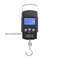110lb Digital Fishing Hanging Scale With Backlit LCD And Measuring Tape Portable Electronic Fish W 4