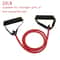Premium Home Resistance Bands With Handles 5Level Workout Bands Set For FullBody Strength Training 5