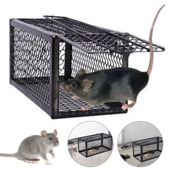 safehome mouse trap - high-adhesion sticky mouse board for reliable indoor pest control